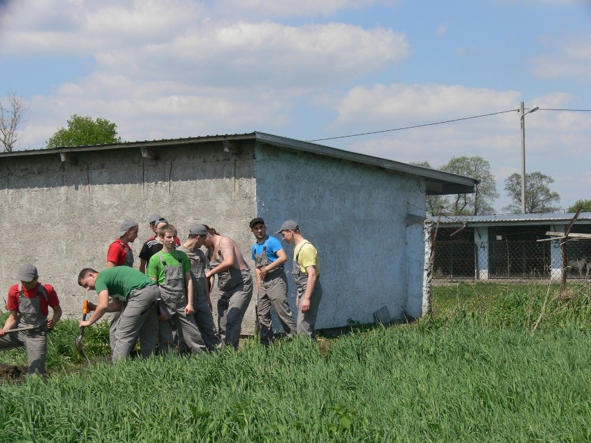 Psy ze schroniska w Łęczycy będą mieć wybieg