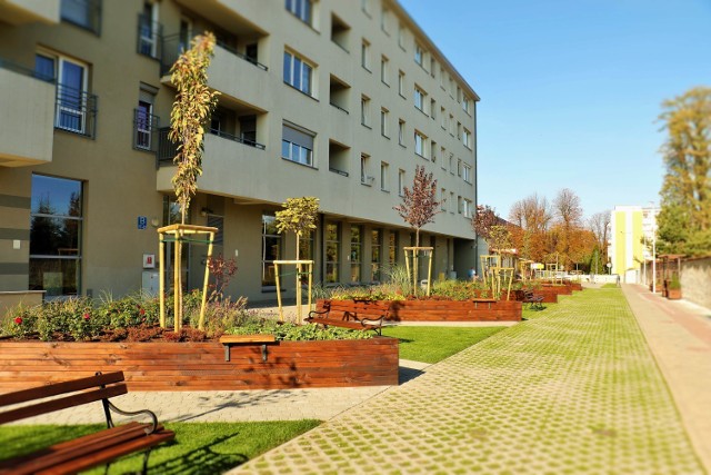 Jedynym z projektów wykonanych w ramach budżetu obywatelskiego w Jarosławiu była "Czytelnia na świeżym powietrzu" w dzielnicy nr 5.
