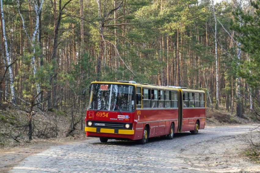 Są co najmniej trzy powody, dla których warto wybrać się na...