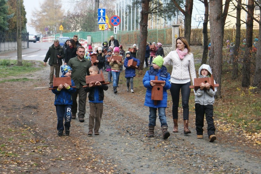 Budki lęgowe zawieszono w kaliskim Lesie Winiarskim