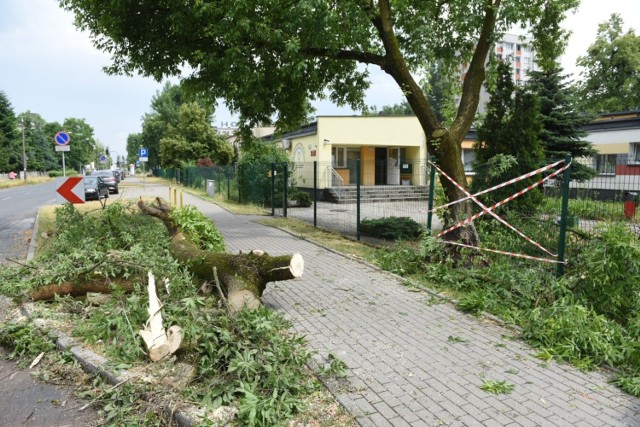 Wiatr złamał konary drzew przy ul. Bażyńskich w pobliżu przedszkola
