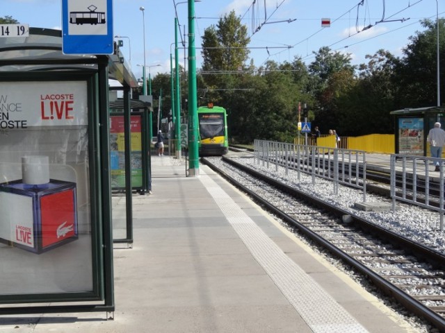 MPK Poznań: Rozkład jazdy na Teatralce wprowadza w błąd?