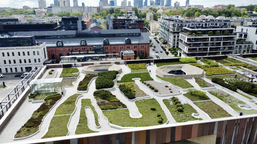 Zielony ogród na dachu Centrum Nauki Kopernik otwarty. Jest jak japoński park skalny. Wyjątkowe miejsce w Warszawie