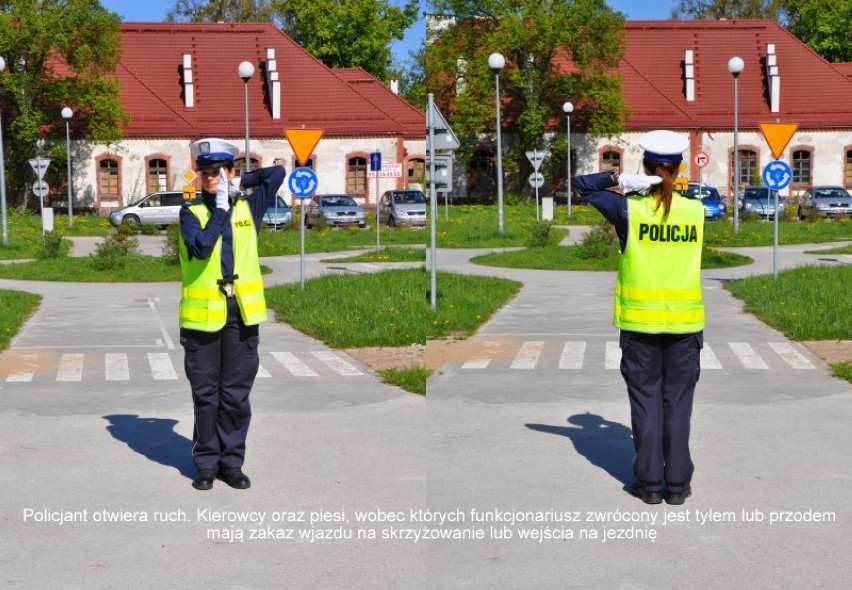 Policjant otwiera ruch 
Kierowcy oraz piesi, wobec których...