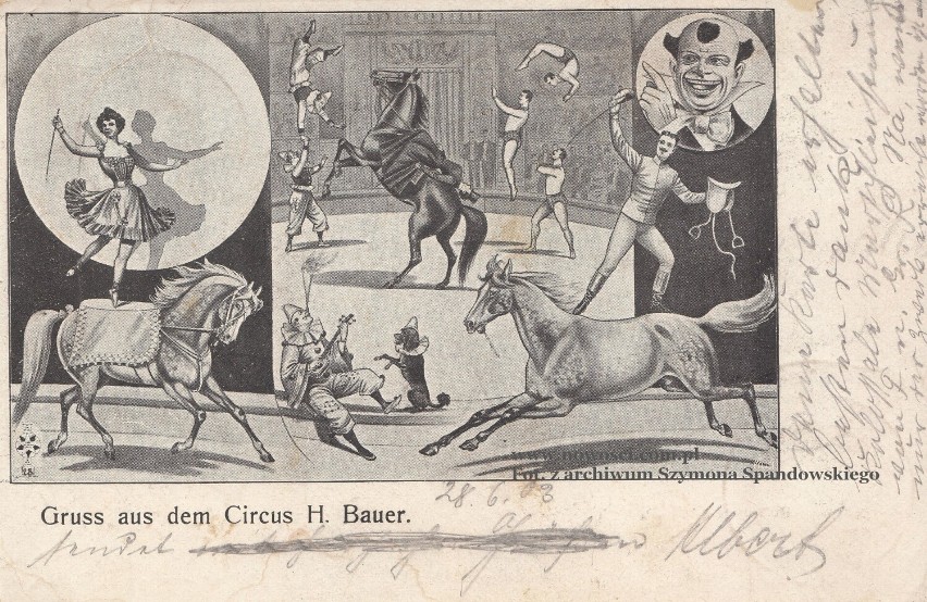 Pocztówka reklamująca cyrk Bauera. Została ona wysłana z...