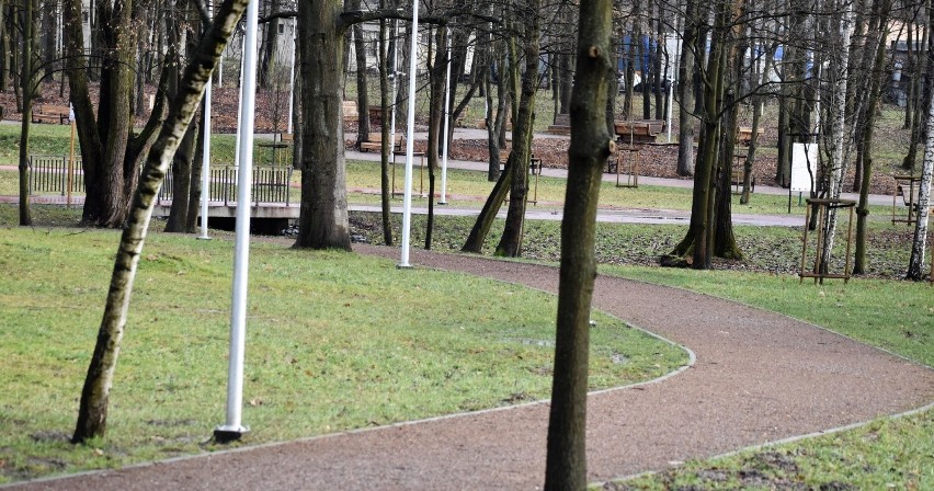 Dla rekreacyjnego biegania można wykorzystać ścieżki Parku...