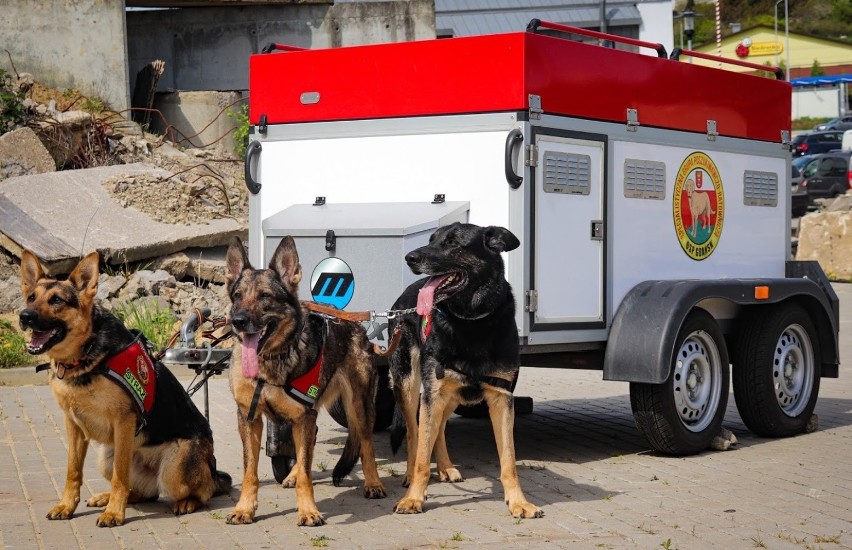 W ciągu ostatnich lat psy z OSP Gdańsk wyjeżdżały do akcji...