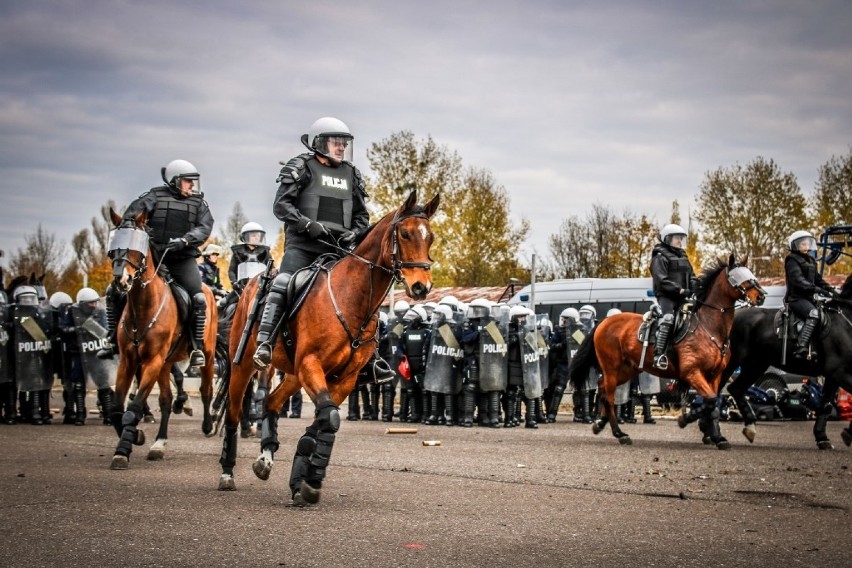 Policyjne konie ze Smardzewic koło Tomaszowa pomyślnie przeszły atestację [ZDJĘCIA]