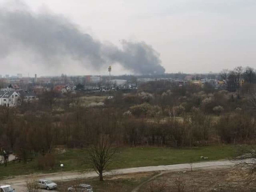 Czarny dym nad Cmentarzem Osobowickim we Wrocławiu. Co się pali?