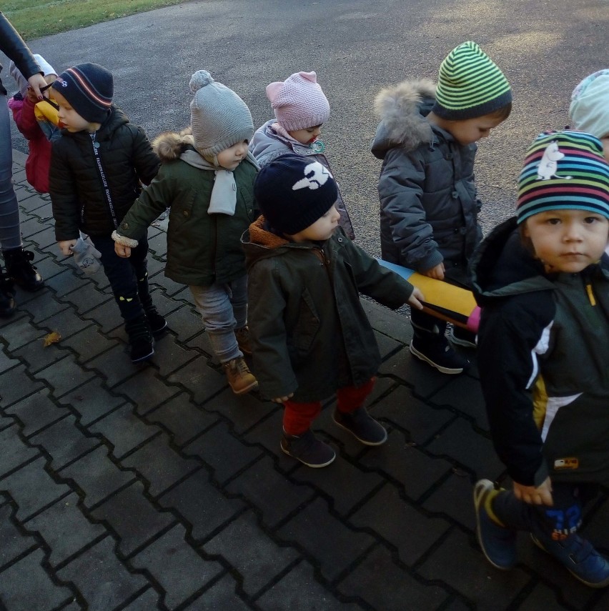 Maluchy ze Żłobka Miejskiego w Łowiczu uczą się chodzić w parach [ZDJĘCIA]