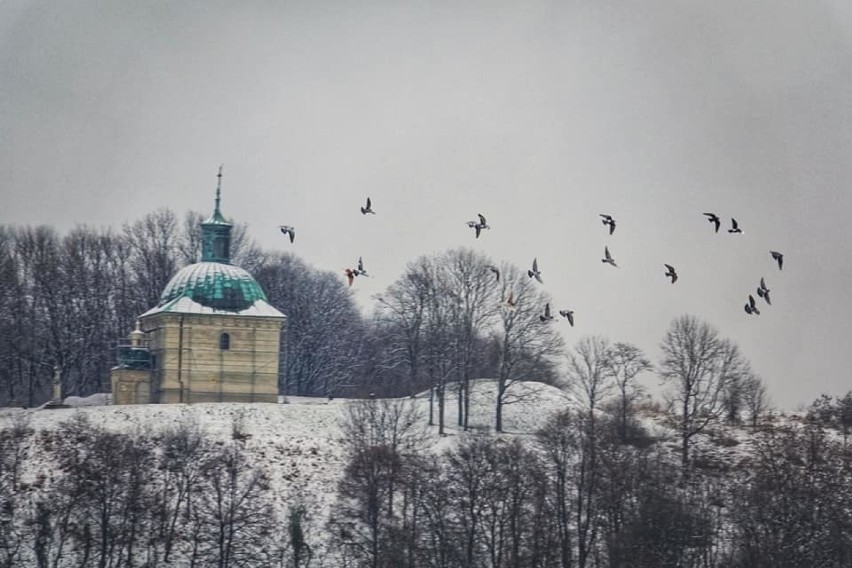 W nocy z sobotę na niedzielę Świętokrzyskie zostało pokryte...