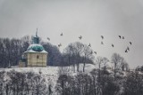 Pińczów w pięknej, zimowej scenerii. Zachwycające widoki (WASZE ZDJĘCIA)