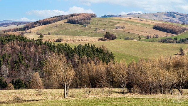 Wójt nie ukrywa, że teren Beskidu jest mocne zdegradowany i wymaga wielkiego  zaangażowania w projekty turystyczne, szlaki narciarstwa biegowego czy skiturowego.