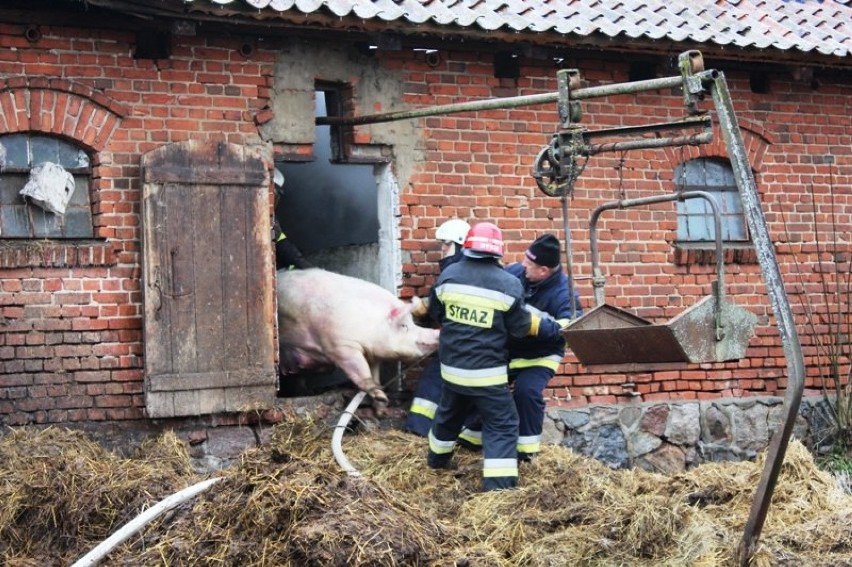 Pożar Cieszęta. Palił się budynek gospodarczy