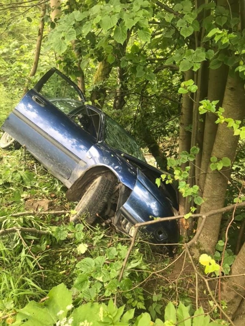 Uhryń. Kierowca, który wiózł kradzioną krowę, był kompletnie pijany. Po wypadku zwierzę uciekło do lasu