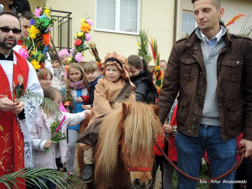 Nie mogło obyć się bez osiołka, to znaczy.... kucyka.