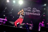 Reggaeland 2013 - koncerty Transmisji i Shaggy'ego