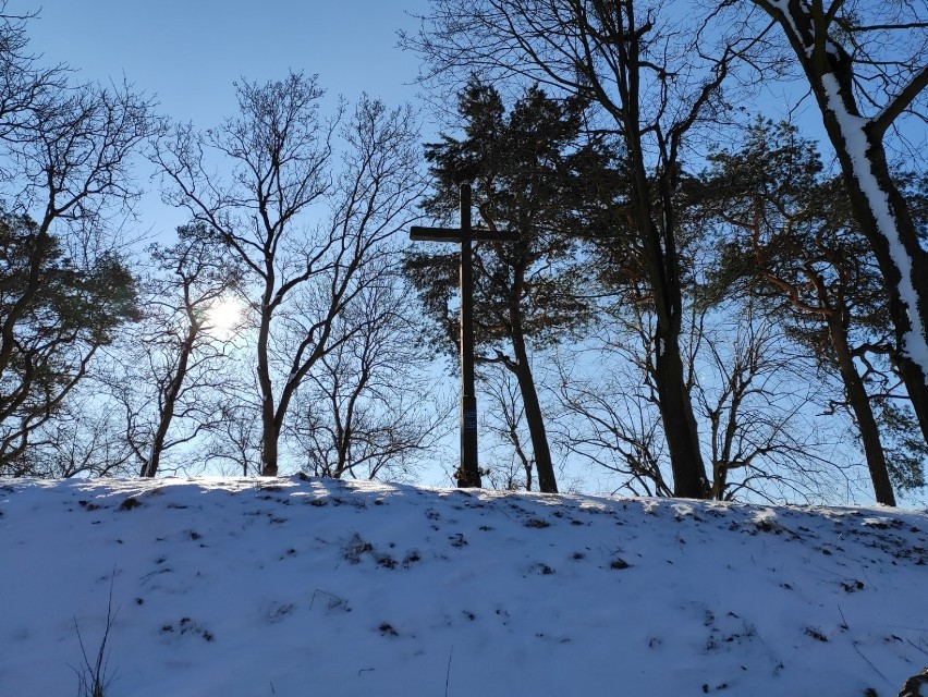 "Francuska górka" nadal cieszy się popularnością wśród saneczkarzy 