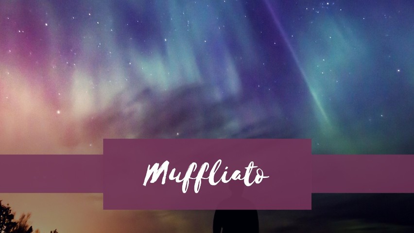 Muffliato...