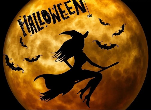 Halloween to święto obchodzone 31 października w przeddzień Wszystkich Świętych. Kieleckie kluby z tej okazji organizują  cykl imprez. Zobaczcie, gdzie się wybrać.  


>>>ZOBACZ WIĘCEJ NA KOLEJNYCH SLAJDACH
