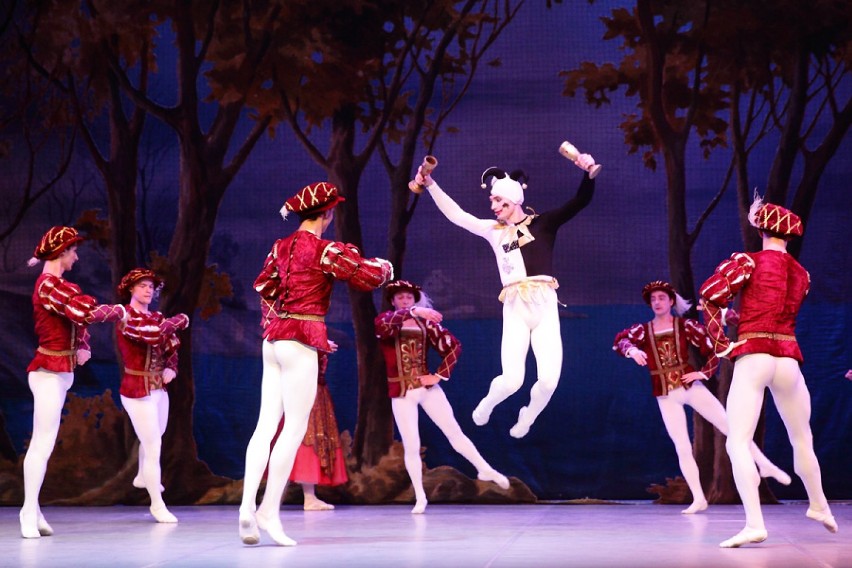 St. Petersburg Festival Ballet Jezioro Łabędzie