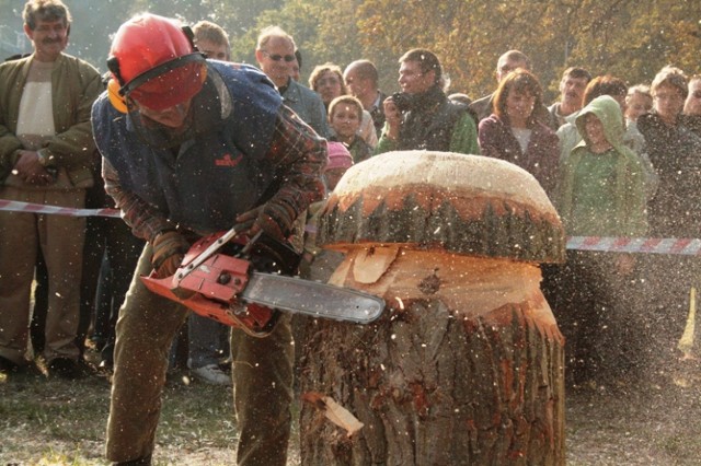 Święto Podgrzybka 2014 Mierzyn - w tym roku będzie trwało dwa dni