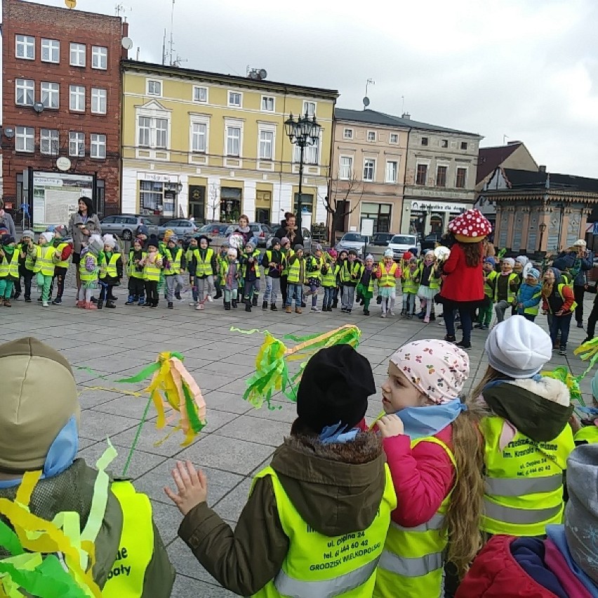 Dzieci z Przedszkola Krasnala Hałabały powitały wiosnę [ZDJĘCIA]