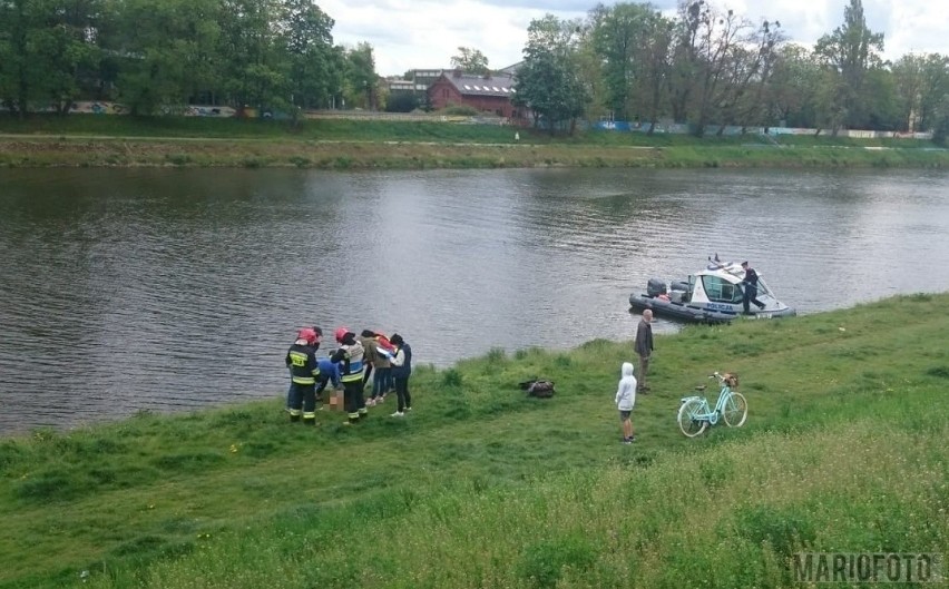 Zwłoki dwóch psów wyłowione z wody w Opolu. Jedne były w worku