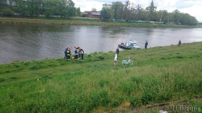 Zwłoki dwóch psów wyłowione z wody w Opolu. Jedne były w worku