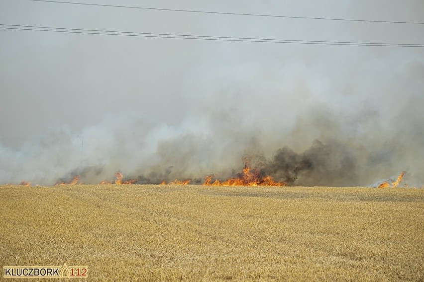 Pożar zboża na polu w Gotartowie koło Kluczborka.