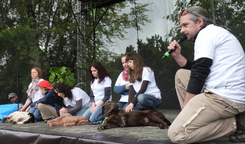 Zwierzynalia w Parku Śląskim cieszyły się dużym...