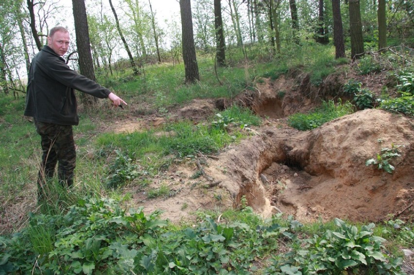 Gronowice: Bomba ekologiczna w lesie