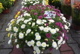 Sprawdziliśmy, ile kosztują znicze i kwiaty w Bielsku-Białej. Drogo czy tanio? Sami oceńcie