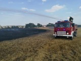 Strażacy gasili pożar ścierniska w okolicach Dąbrówki Pruskiej - zachowajmy ostrożność! [ZDJĘCIA]