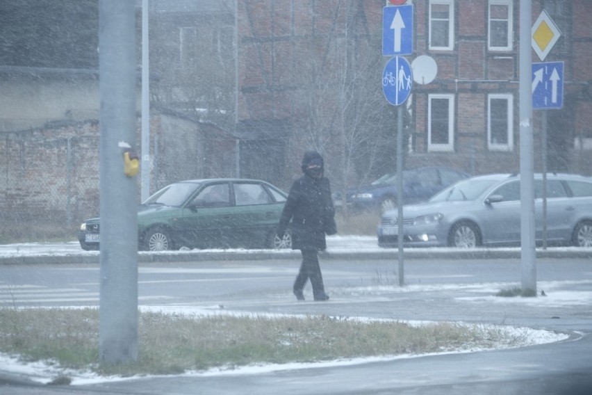 Śnieżyca w Toruniu