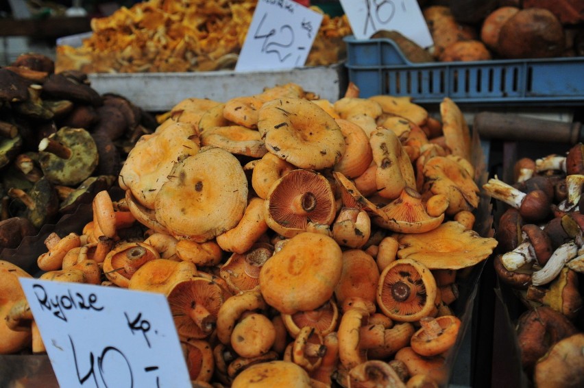 Sezon grzybowy w pełni, zobacz jakie grzyby sprzedają na Starym Kleparzu [GALERIA]