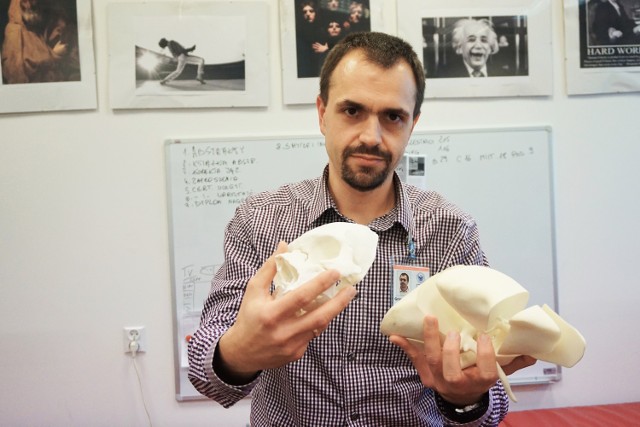 Dr hab. n. med. Grzegorz Staśkieiwcz pokazuje czaszkę i wątrobę w 3D