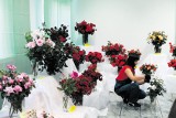 Wystawa w &quot;botaniku&quot;: róże, wrzosy, marcinki