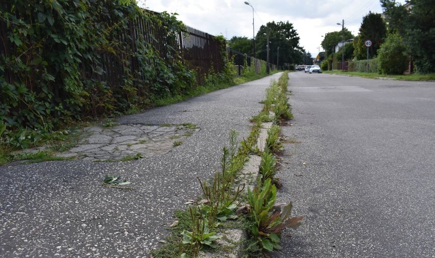 Nowy Sącz. Miasto buduje chodnik, a mieszkańcy go nie chcą: „Nie kosztem pasa zieleni” 