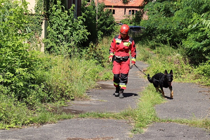 Ratownicy czekają na chętnych do młodzieżowej drużyny