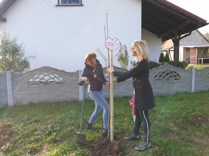 W gminie Śmigiel trwa akcja sadzenie "Drzewek Życia"