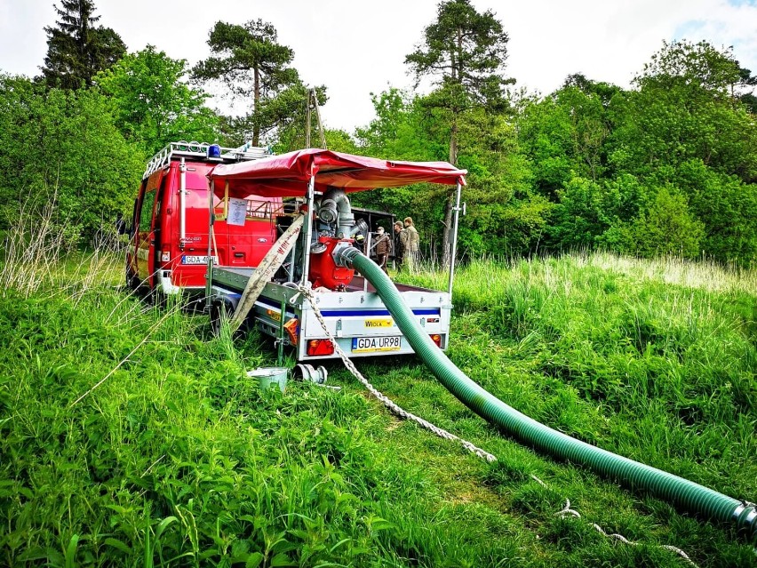 Pożar lasu - ćwiczenia strażków