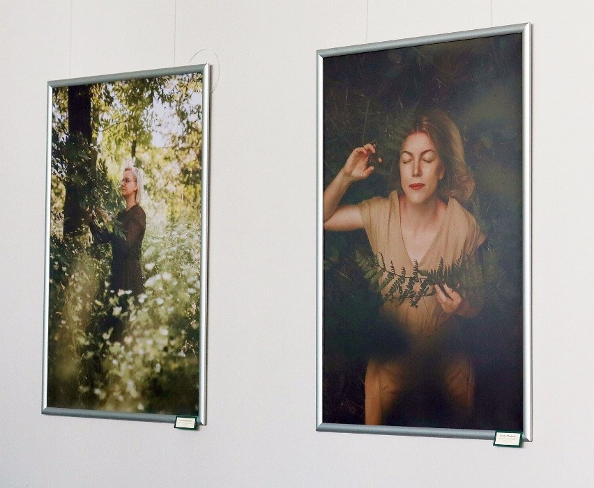 Dwie spośród prac eksponowanych na wystawie "Ludzie-Drzewa"...