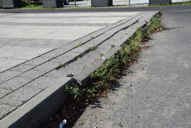 Przeszliśmy się ulicą Bohaterów Westerplatte w Zielonej Górze. Jak oceniacie ją 3 lata po remoncie?