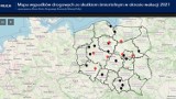 Tylko w ciągu ostatniej doby na drogach zmarło aż 7 osób. Policyjna mapa wypadków ze skutkiem śmiertelnym działa od początku wakacji