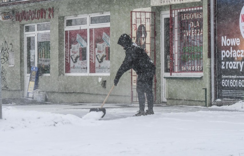 We wtorek, 9. lutego od rana pada śnieg, ale jest on...