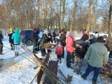 Zimowe szaleństwo w powiecie wągrowieckim. Kulig w Grylewie. Zobacz zdjęcia 