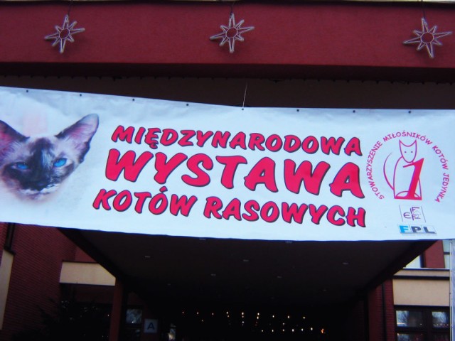 Warszawa. Zapraszam na Międzynarodową Wystawę Kotów Rasowych. Ewa Krzysiak