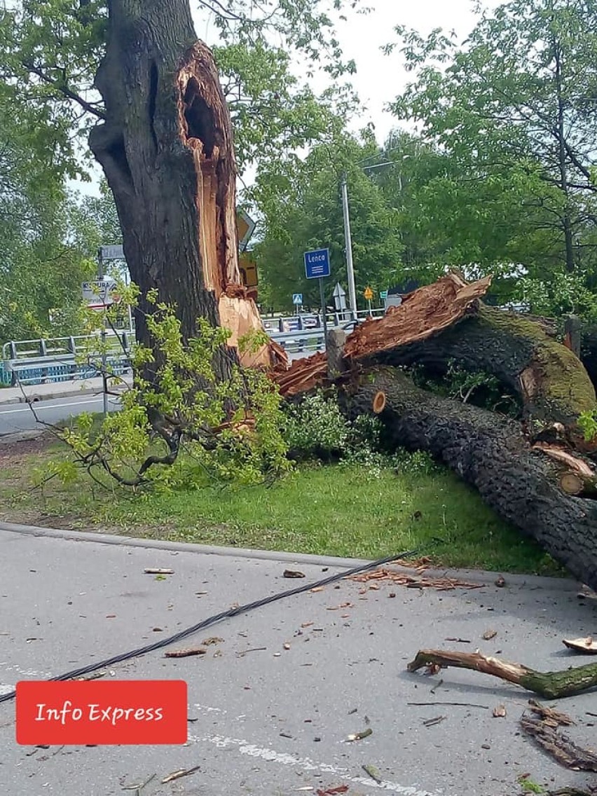 Złamany konar drzewa na DW 905 w Boronowie 21.05.2019.