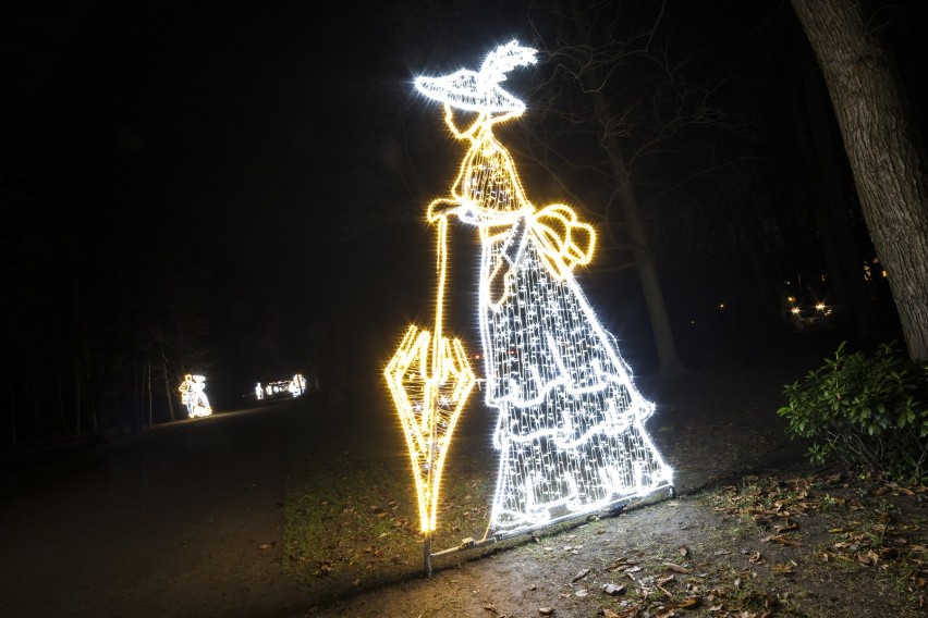 Iluminacja w Łazienkach Królewskich. Zobacz pięknie...